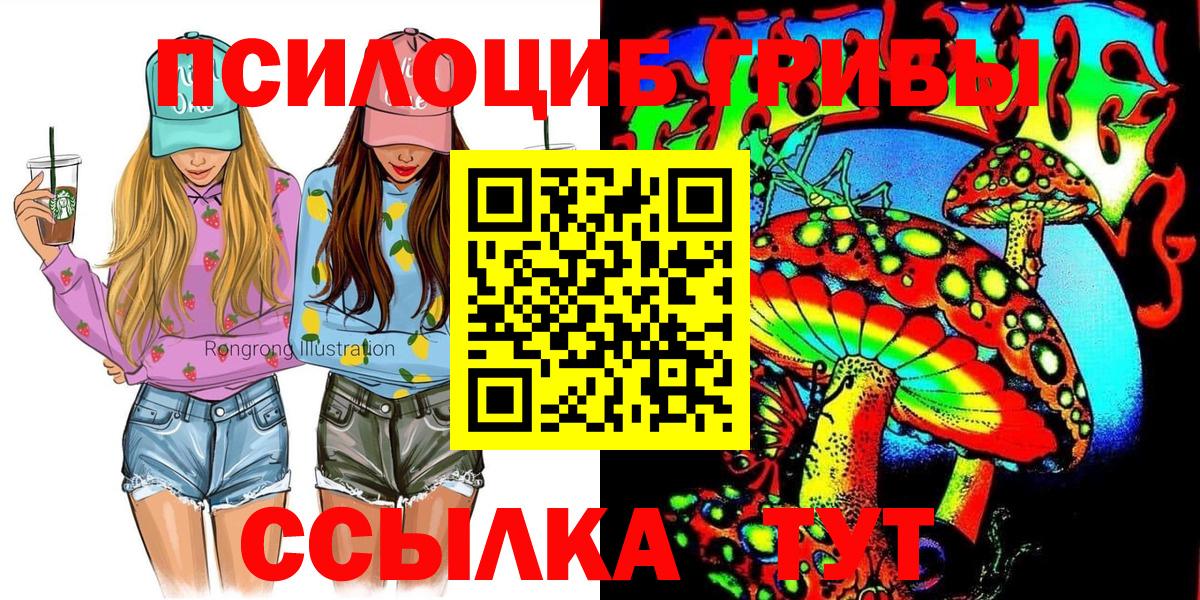 Псилоцибиновые грибы прущие грибы Северск
